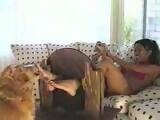 Torturing My Ebony Girlfriend With My Dog