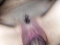 Amateur Close Up Hardcore Fucking